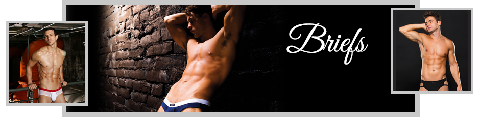 Briefs